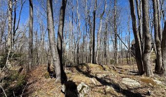 ES71 Twisted Oak Path, Banner Elk, NC 28604