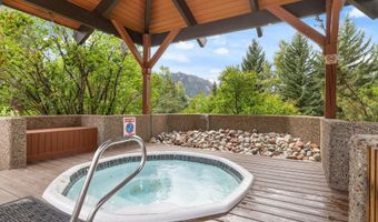 950 VINE St, Aspen, CO 81611