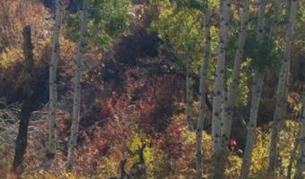 350 Broadford Rd, Bellevue, ID 83313