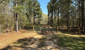 2584 County Road 6647, Banks, AL 36005