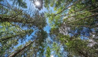 1365 MT Highway 209, Bigfork, MT 59911
