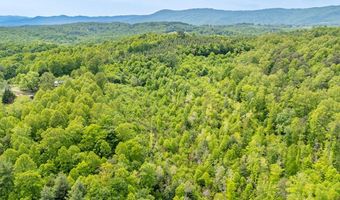 Ahart Ridge Rd lot 58 60 61, Ararat, VA 24053