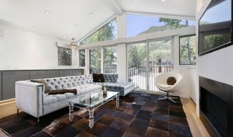 950 E Durant Avenue 4, Aspen, CO 81611