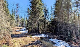 8 Acres E Cable Lake Rd, Amasa, MI 49903