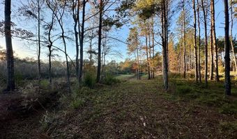 2894 Jackson Liberty Dr, Bogue Chitto, MS 39629