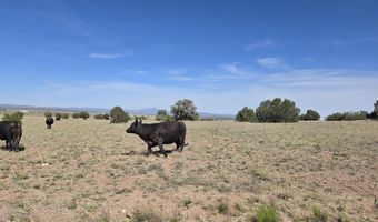 256 D Old Antelope Run Rd, Ash Fork, AZ 86320