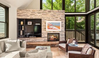 939 E COOPER Ave, Aspen, CO 81611