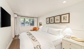153 W Lupine Dr, Aspen, CO 81611