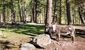 13518 Sylvan Dr, Bigfork, MT 59911