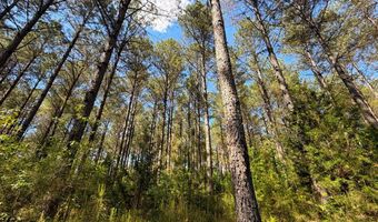 3172 Highway 20, Abbeville, SC 29638