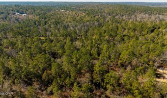 Rossville Avenue, Alford, FL 32420