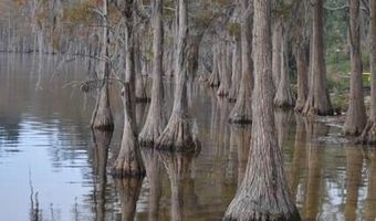 138 Abraham Street Lot 5 Blk, Alford, FL 32420