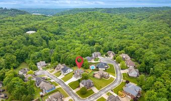 4313 Brush Creek Ct, Apison, TN 37302