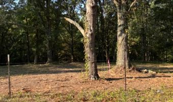 Tract C 1-2 MORNINGSTAR CIRCLE Circle, Benton, AR 72015