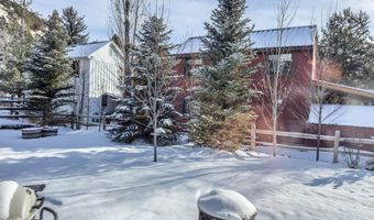 128 Mountain Ct, Basalt, CO 81621