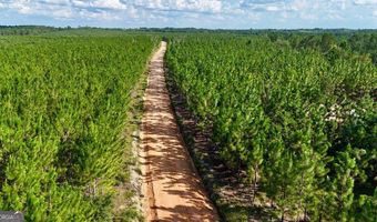 Penny Morris Road, Baxley, GA 31513