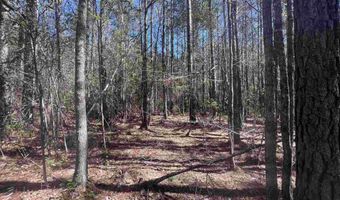 10 Robinsonville Rd, Atmore, AL 36502