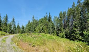 NNA Enchanted Lane # 3, Bonners Ferry, ID 83805