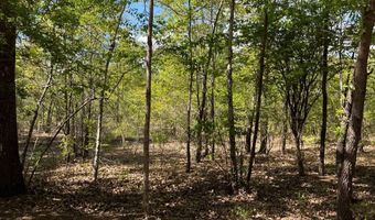 272 Church Camp Rd, Bishopville, SC 29010