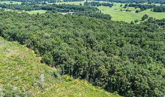 425 Hartwick Ln, Atkins, AR 72823