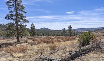 TBD Lot 4 Beaver Creek Ranch Drive, Bayfield, CO 81122