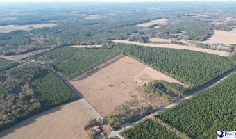 Lot D Hill Rd, Bishopville, SC 29010