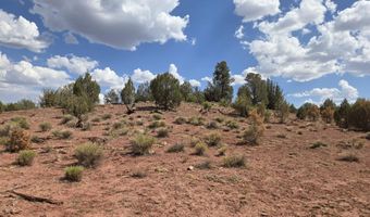 215 Off Cathedral Vly, Ash Fork, AZ 86320
