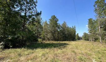 0 John S Horton, Adrian, GA 31002