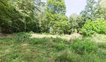 131 Coal Run Rd, Albright, WV 26519