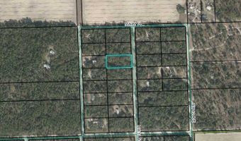 Lot 11 11th Ave, Bell, FL 32619