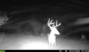 CR 119 lot 0, Alice, TX 78332