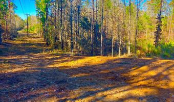 1000 Cline Rd, Wesson, MS 39191