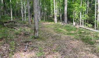 Tbd Brookstone Rd, Bastian, VA 24314