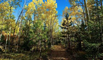 1 The Ranch At Angel Fire, Angel Fire, NM 87710