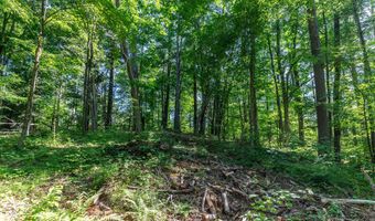 Great Hollow Road, Cornwall, CT 06753