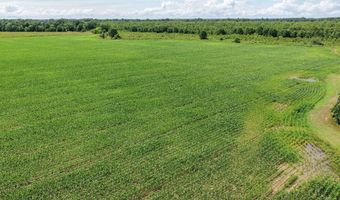 Dummyline Road, Batesville, MS 38606
