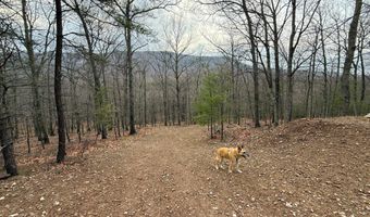 ADVENT Drive, Augusta, WV 26704