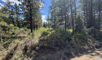 0 Grizzy Ln 9, Bonanza, OR 97623