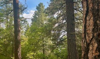 Tract B 266 Gallina Canyon Road, Valdez, NM 87580