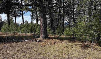 1483 Pine Lakes Ranch Rd, Cascade, ID 83611