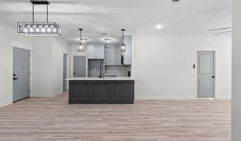516 Madeleine Cir, Austin, AR 72007