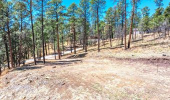 215 Brentwood Dr 2, Alto, NM 88312