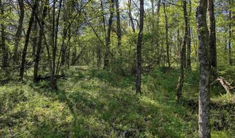 05 Old Stage Rd, Ardmore, TN 38449