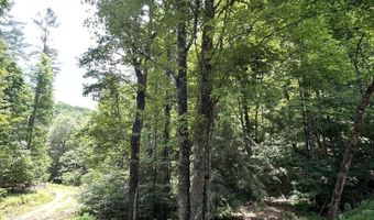281 Eclipse Ln, Arbovale, WV 24915