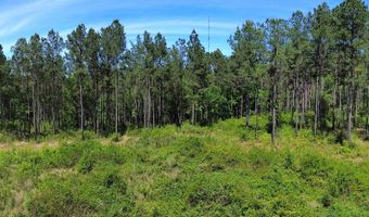 0 Orem Rd, Bay Minette, AL 36507