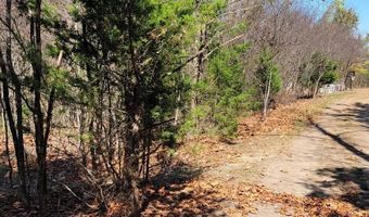 Lot 2 Tower Hill Rd, Appomattox, VA 24522