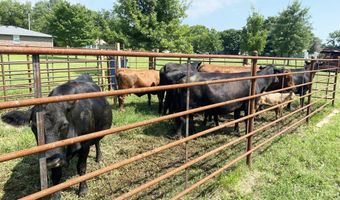 317 N Thurmond Ave, Ash Grove, MO 65604