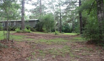 429 River Road Dr, Bogue Chitto, MS 39629