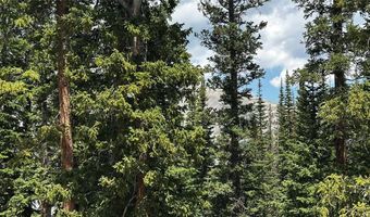584 Camron Ln Lot 6, Breckenridge, CO 80424