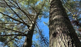 5904 Lake May Dr NW, Akeley, MN 56433